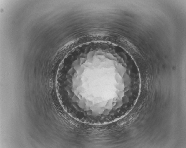 X0000060770821200511141255