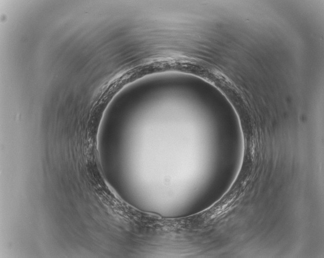 X0000060770822200511141255