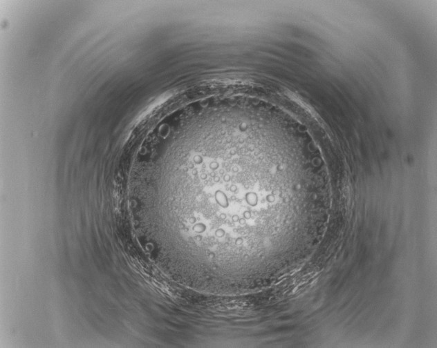 X0000060770823200511141255