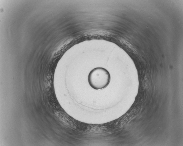 X0000060770824200511141255