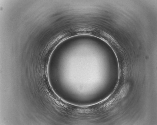 X0000060770825200511141255