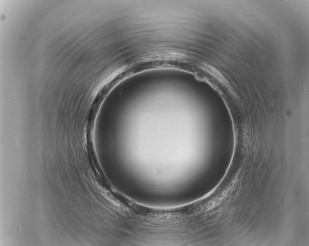 X0000060770826200511141255