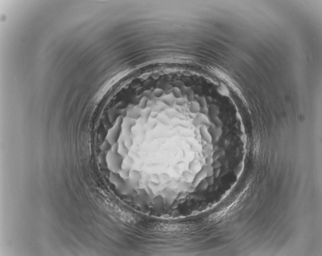 X0000060770829200511141255