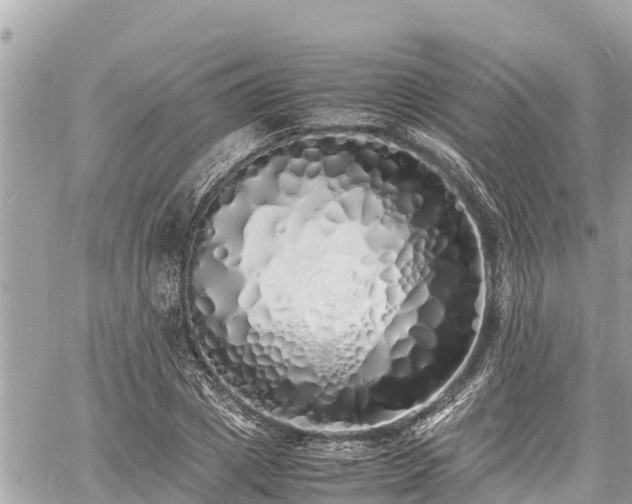 X0000060770833200511141255