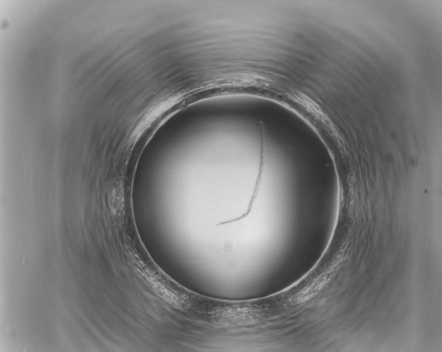 X0000060770834200511141255