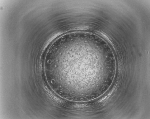 X0000060770835200511141255