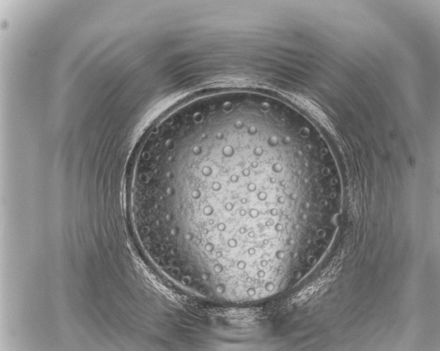 X0000060770839200511141255