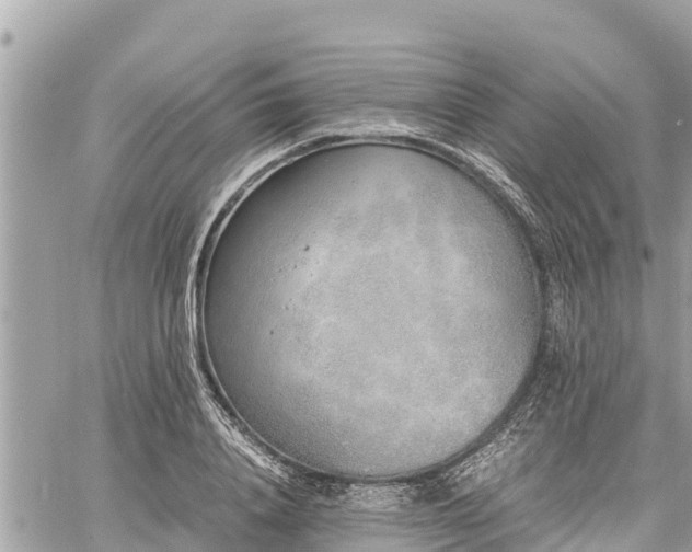 X0000060770840200511141255