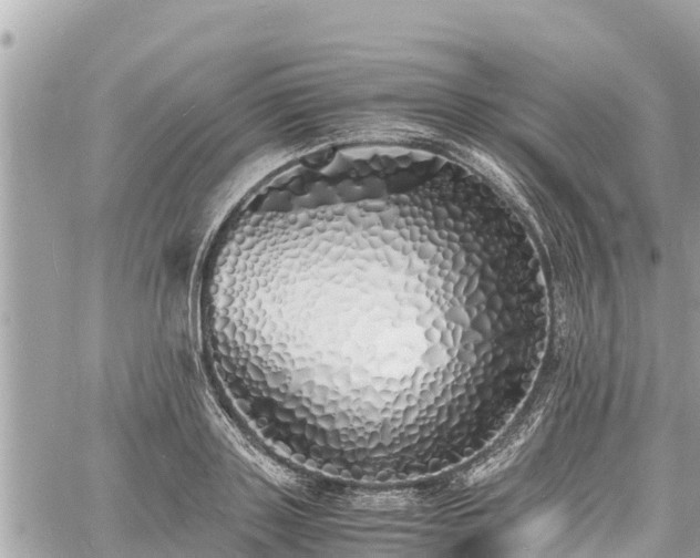 X0000060770843200511141255