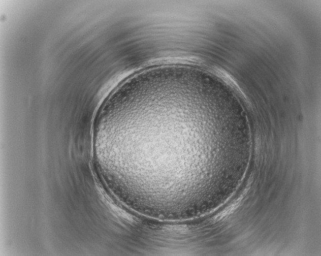 X0000060770844200511141255