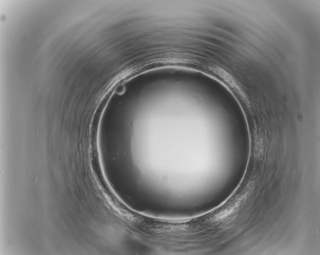 X0000060770845200511141255