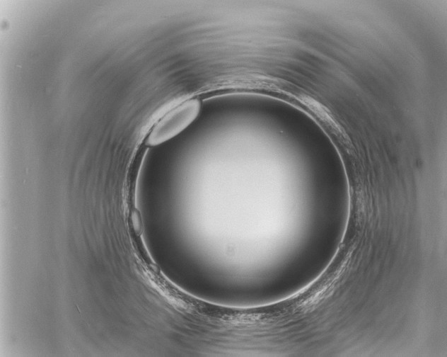 X0000060770846200511141255