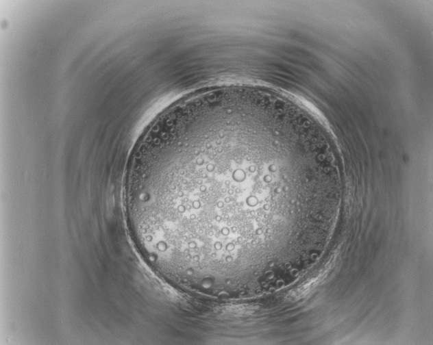 X0000060770847200511141255