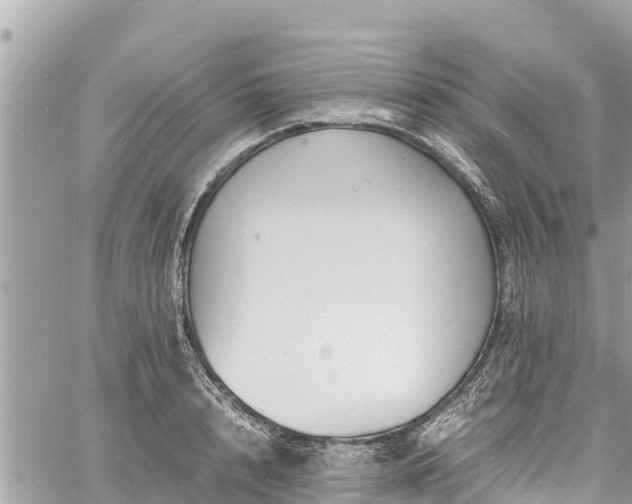 X0000060770848200511141255