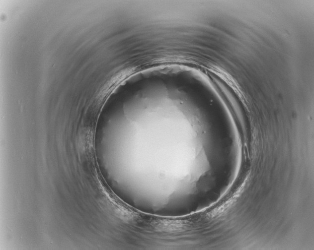 X0000060770849200511141255