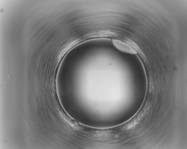 X0000060770850200511141255