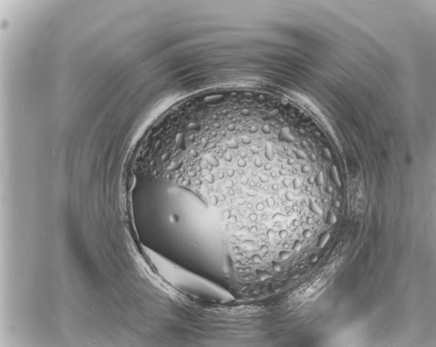 X0000060770851200511141255