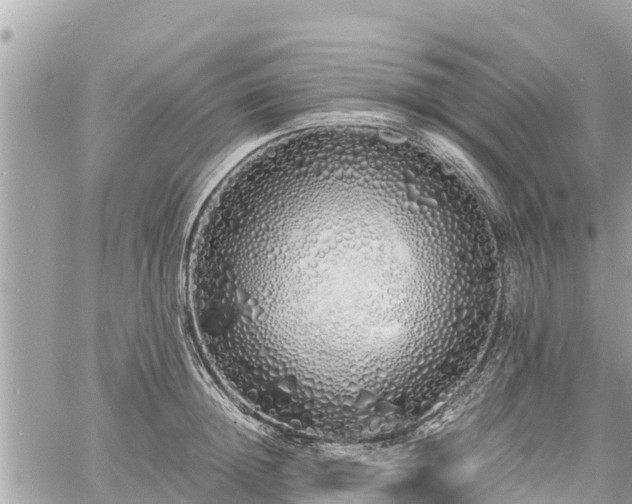 X0000060770852200511141255