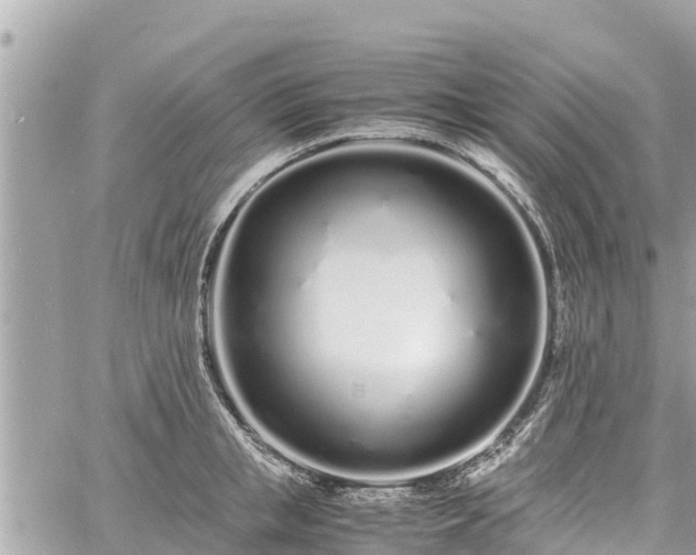 X0000060770853200511141255