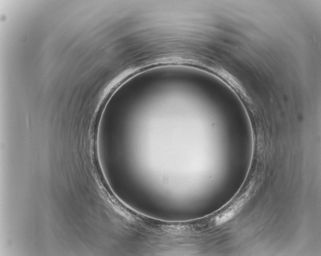 X0000060770854200511141255