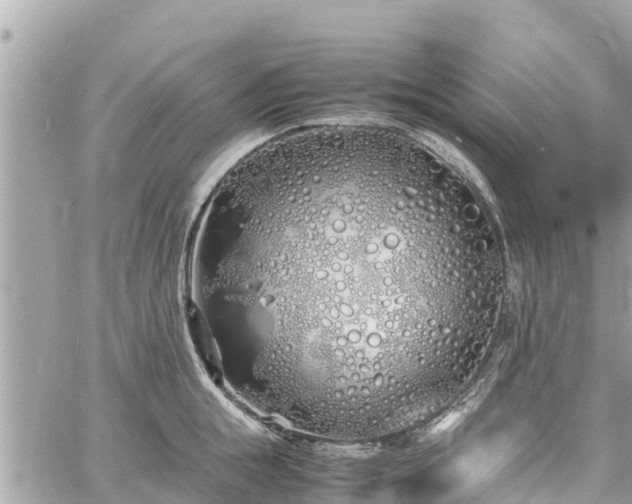 X0000060770855200511141255