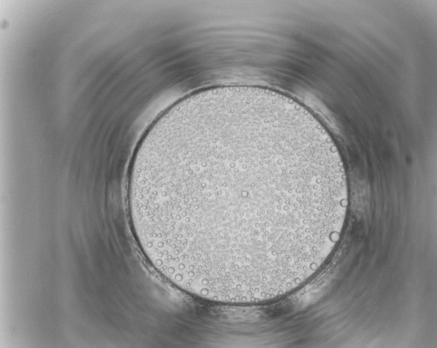 X0000060770856200511141255