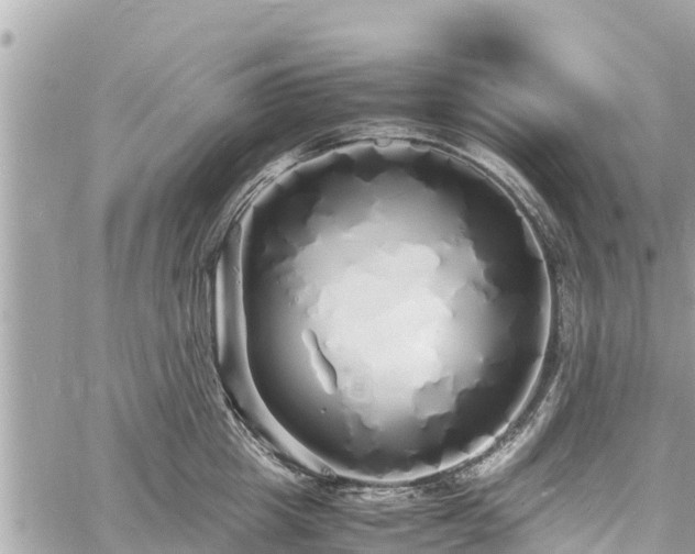 X0000060770857200511141255