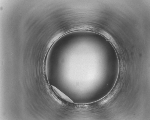 X0000060770858200511141255