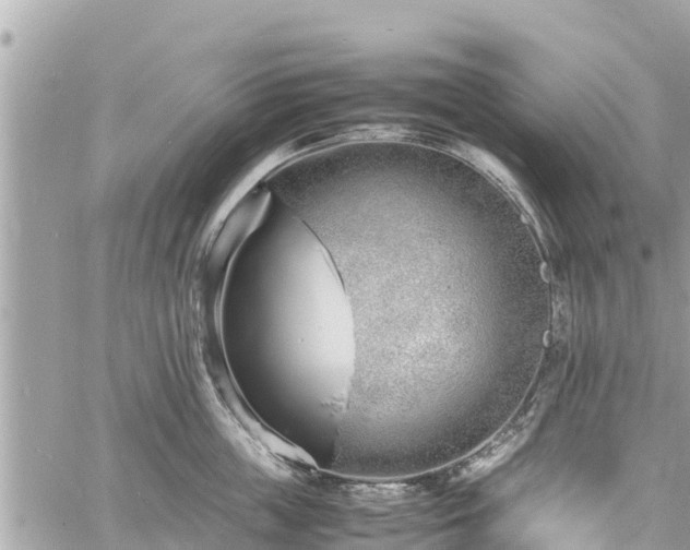 X0000060770859200511141255