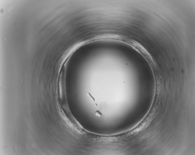 X0000060770860200511141255