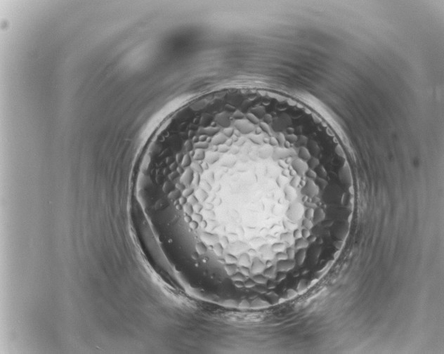 X0000060770861200511141255