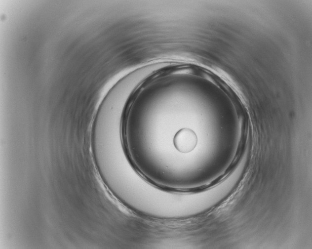 X0000060770862200511141255