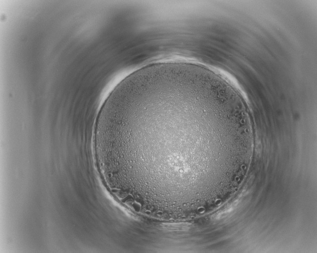 X0000060770863200511141255