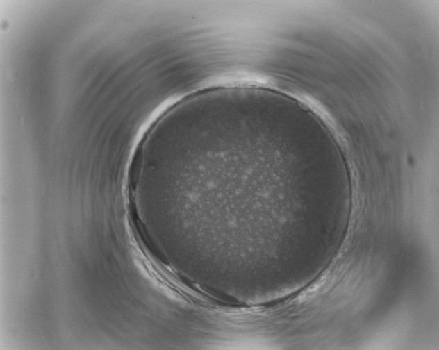 X0000060770864200511141255