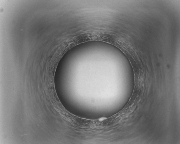 X0000060770865200511141255