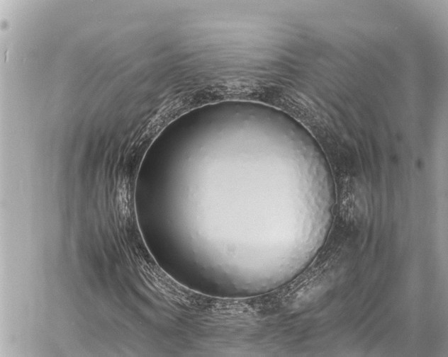 X0000060770866200511141255