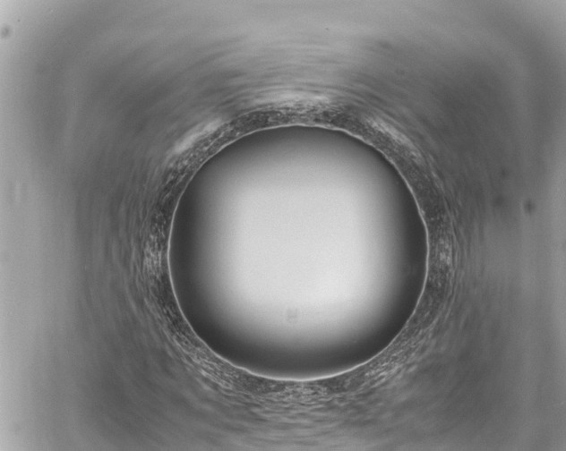 X0000060770869200511141255