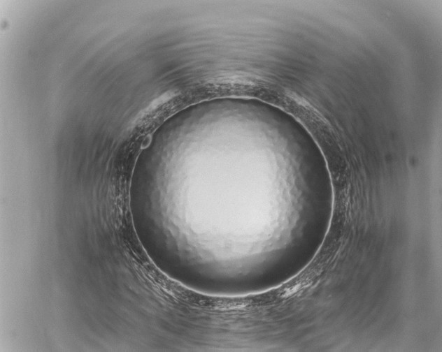 X0000060770870200511141255