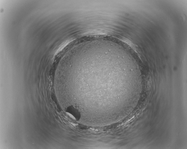 X0000060770871200511141255