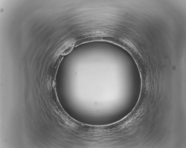 X0000060770873200511141255