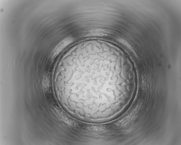 X0000060770874200511141254