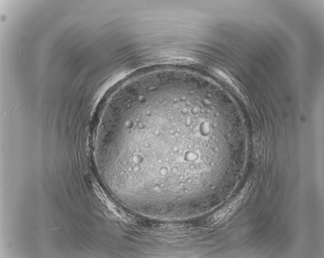 X0000060770875200511141254