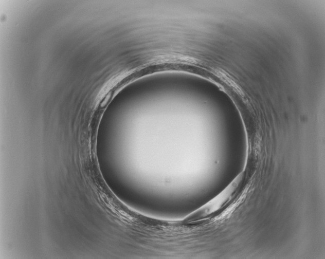 X0000060770877200511141254