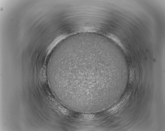 X0000060770878200511141254