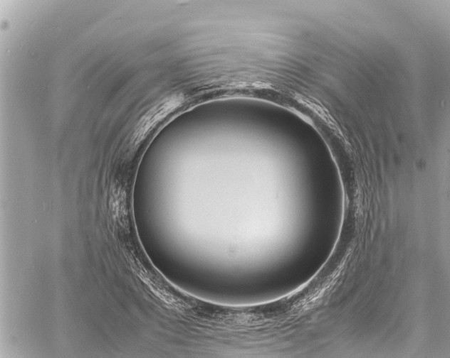 X0000060770881200511141254