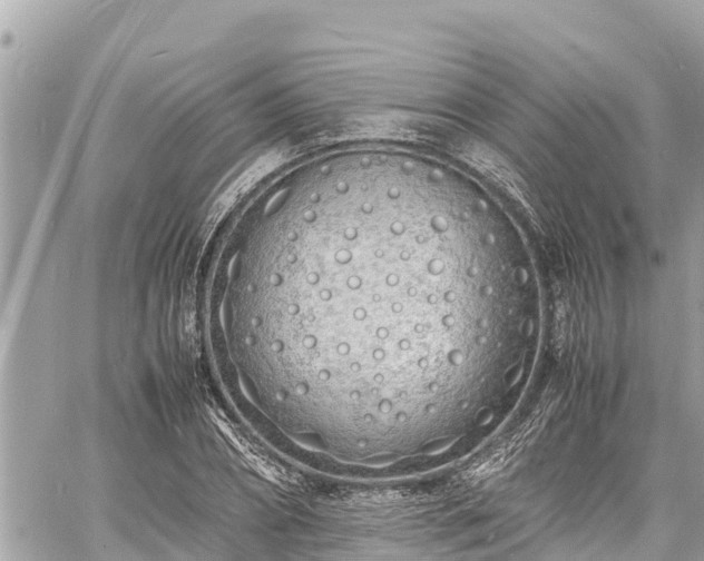 X0000060770882200511141254