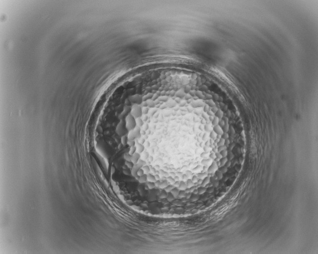 X0000060770883200511141254