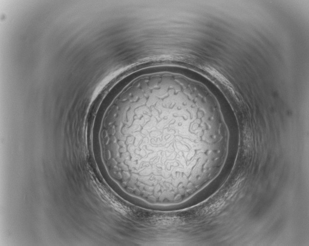 X0000060770886200511141254