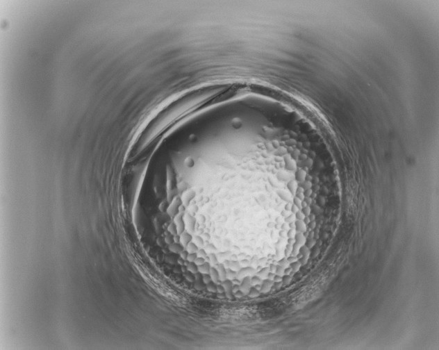 X0000060770887200511141254