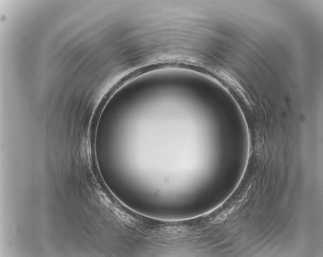 X0000060770888200511141254